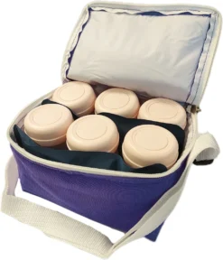 Spectra Biberons De Lait Maternel - 6 X 160 Ml - Avec Sac De Refroidissement Bleu Et éléments De Refroidissement - Biberons D'allaitement - Sans BPA -Bébé Soldes Boutique 1029x1200