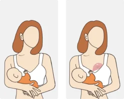 Youha® POD - Tire-lait Manuel - Collecteur De Lait - Tire-lait Portable - Mains Libres - Recueillir Le Lait Maternel - Coquille D'allaitement - Gobelet De Collecte De Lait Maternel - Sans BPA - Gobelet De Collecte De 120ML -Bébé Soldes Boutique 1200x960 7