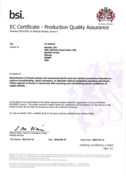 Ameda Store'n Pour Sachets De Conservation Du Lait Maternel 40 Pièces -Bébé Soldes Boutique 848x1200 2