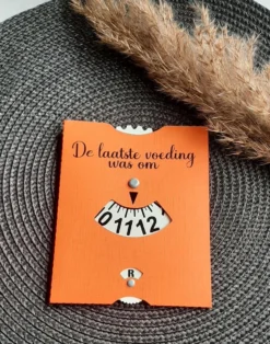 Mint11 - Carte Nutritionnelle Orange - Accessoires Pour Bébé - Cadeau De Maternité - Cadeau De Maternité - Fournitures Pour Bébé - Disque D'alimentation - Disque De Stationnement